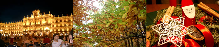 Collage von Bildern Collage von Bildern